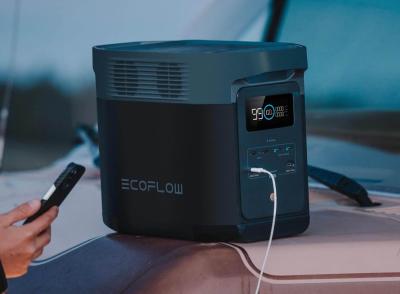 EcoFlow DELTA 2